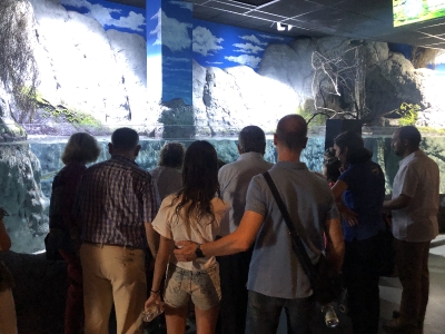 acuario sevilla_2
