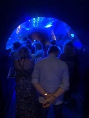 acuario sevilla_4