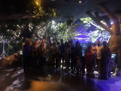 acuario sevilla_6