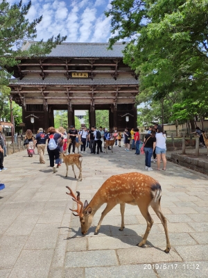 japón_4