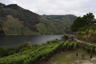 ribeira sacra 2019_1