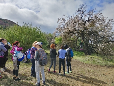 almendros en flor_3