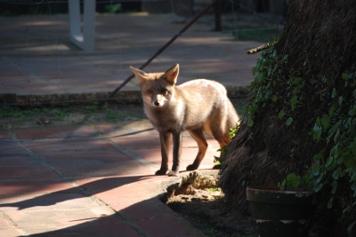 Visita Doñana_4