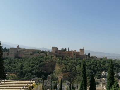 Visita a Granada desde Sevilla_2